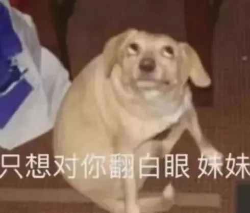 只想对你翻白眼妹妹（只想对你翻白眼妹妹）