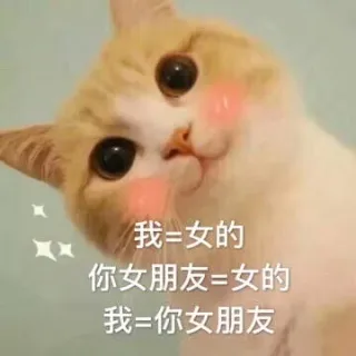那就这样说好啦，我就是你女朋友啦 _套路_撩妹撩汉表情包