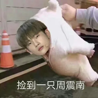 捡到一只周震南