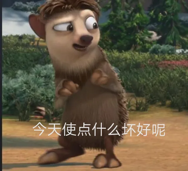 今天使点什么坏好呢（今天使点什么坏好呢）