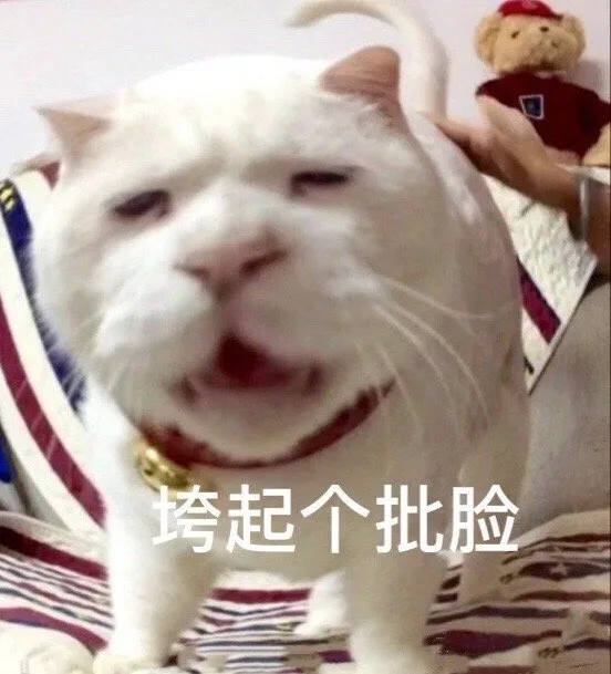 垮起个批脸(猫咪表情包)