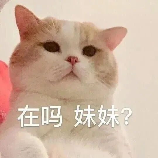 在吗妹妹（在吗妹妹）