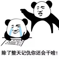 除了整天记仇你还会干啥