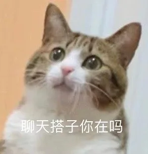 聊天搭子你在吗（聊天搭子你在吗）