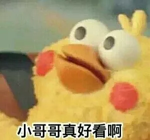 鹦鹉兄弟：小哥哥真好看啊，花痴脸