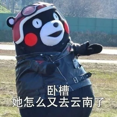 卧槽，她怎么又去云南了（卧槽，她怎么又去云南了）