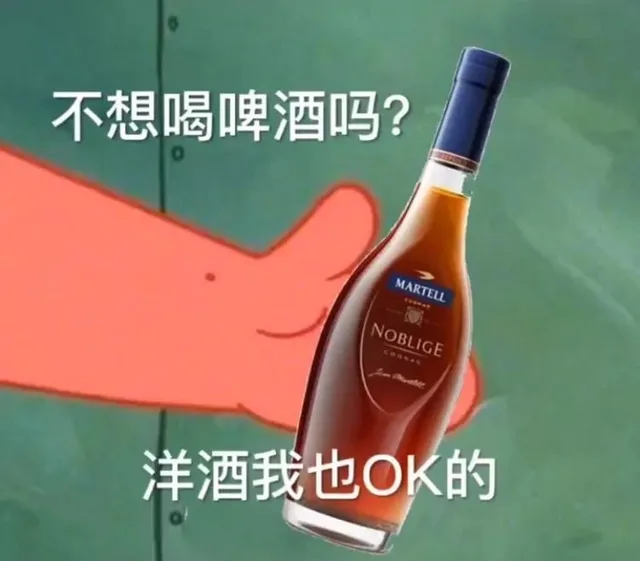 不想喝啤酒吗？洋酒我也 ok 得（不想喝啤酒吗？洋酒我也 ok 得）
