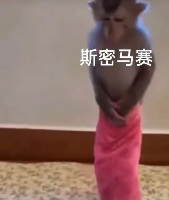 斯密马赛（斯密马赛）