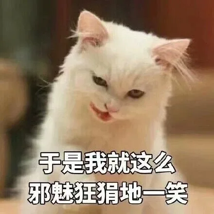 于是我就这么邪魅狂狷地一笑（于是我就这么邪魅狂狷地一笑）