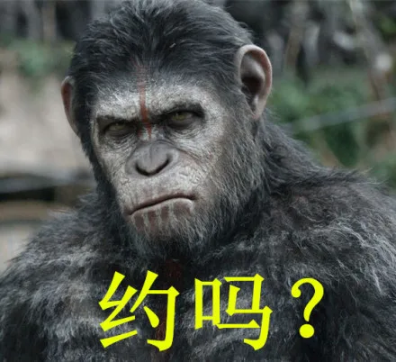 约吗？（约吗？）