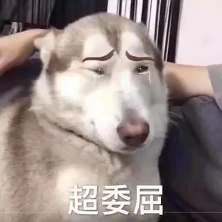 超委屈