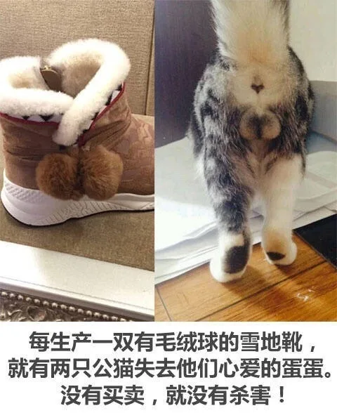 每生产一双有毛绒球的雪地靴,就有两只公猫失去他们心爱的蛋蛋。没有买卖,就没有杀害!
