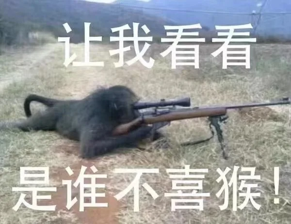 让我看看是谁不喜猴！（让我看看是谁不喜猴！）