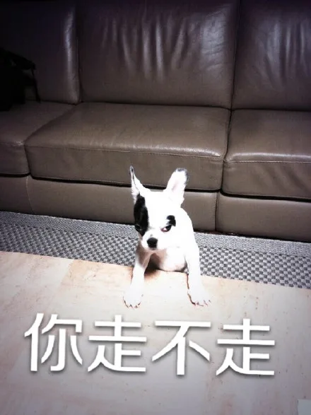 你走不走（你走不走）