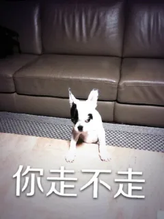 你走不走