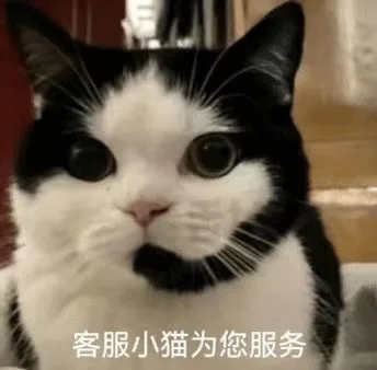 客服小猫为您服务（客服小猫为您服务）