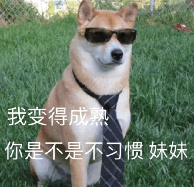 我变得成熟 你是不是不习惯 妹妹（我变得成熟 你是不是不习惯 妹妹）