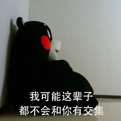 我可能这辈子都不会和你有交集