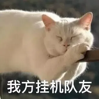 我方挂机队友
