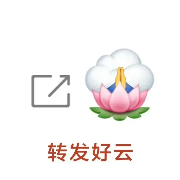 □转发好云