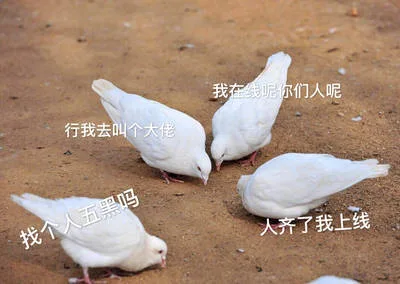我在线尔们人呢行我去叫个大佬个人五黑吗找人齐了我上线