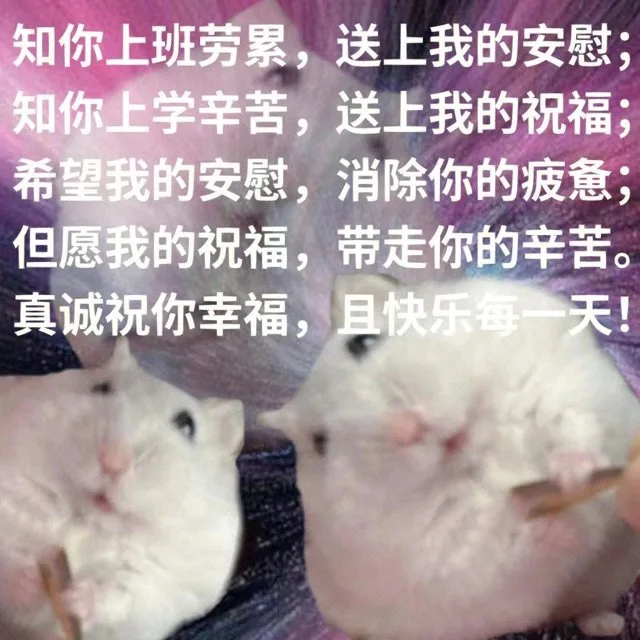 知你上班劳累，送上我的安慰；知你上学辛苦，送上我的祝福；希望我的安慰，消除你的疲惫；但愿我的祝福，带走你的辛苦。真诚祝你幸福，且快乐每一天！(鼠鼠表情包)（知你上班劳累，送上我的安慰；知你上学辛苦，送上我的祝福；希望我的安慰，消除你的疲惫；但愿我的祝福，带走你的辛苦。真诚祝你幸福，且快乐每一天！(鼠鼠表情包)）