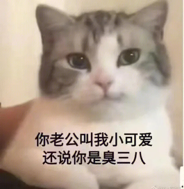 你老公叫我小可爱还说你是臭三八（你老公叫我小可爱还说你是臭三八）