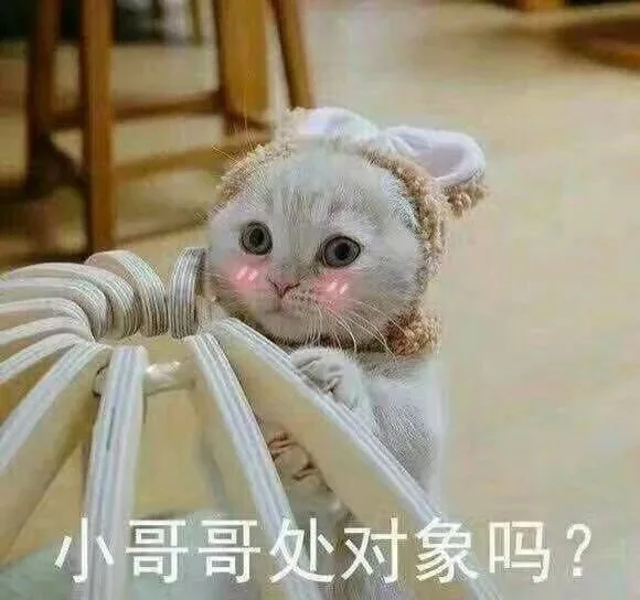 小哥哥处对象吗