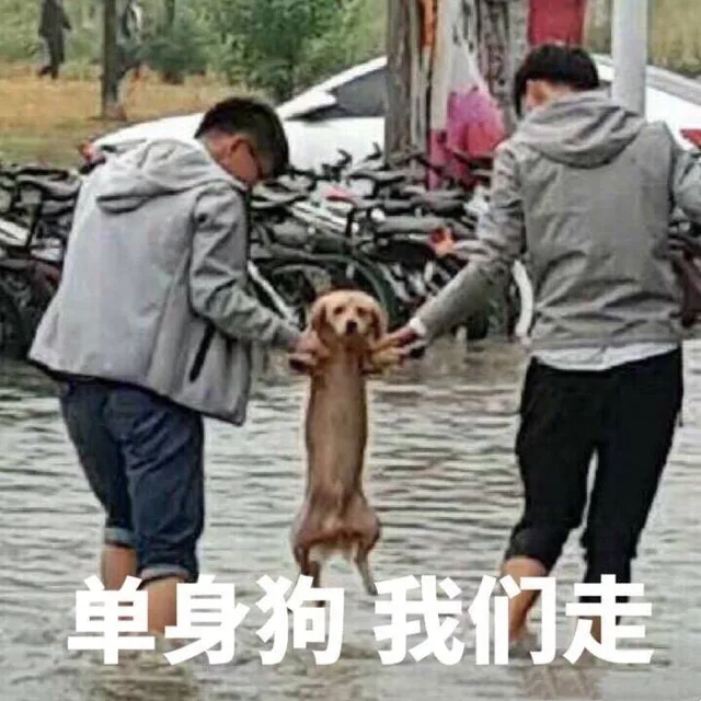 单身狗 我们走