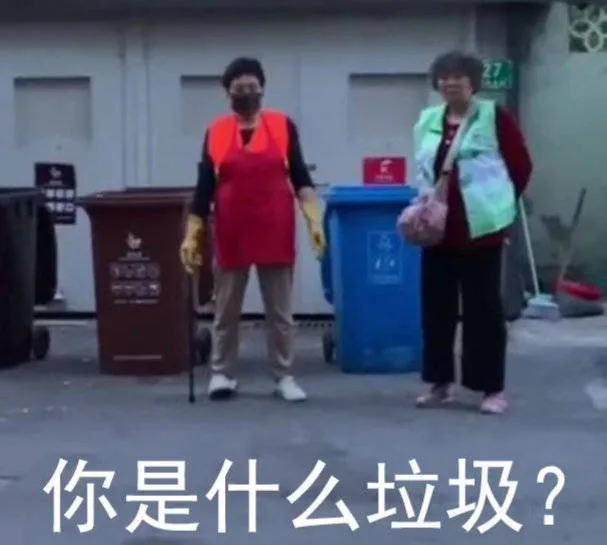 你是什么垃圾（你是什么垃圾）