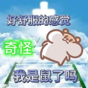 好舒服的感觉奇怪我是鼠了吗（好舒服的感觉奇怪我是鼠了吗）