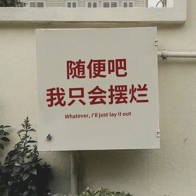 随便吧我只会摆烂Whatever ,I'll just lay it out