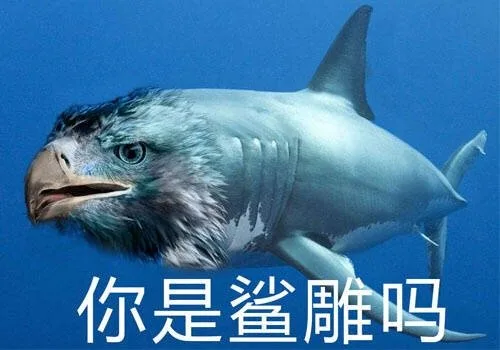 你是鲨雕吗
