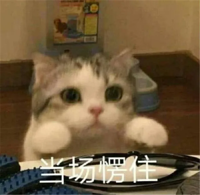当场愣住（当场愣住）
