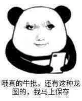哦真的牛批，还有这种龙图的，我马上保存（哦真的牛批，还有这种龙图的，我马上保存）