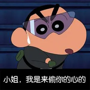 小姐，我是来偷你的心的（小姐，我是来偷你的心的）
