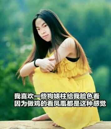我喜欢一些狗婊柱给我脸色看因为做鸡的看凤凰都是这种感觉（我喜欢一些狗婊柱给我脸色看因为做鸡的看凤凰都是这种感觉）