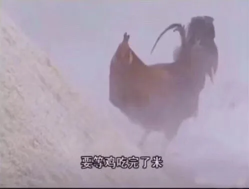 当别人问我什么时候谈恋爱时表情包