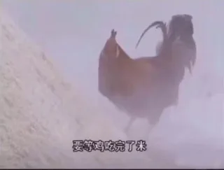 当别人问我什么时候谈恋爱时