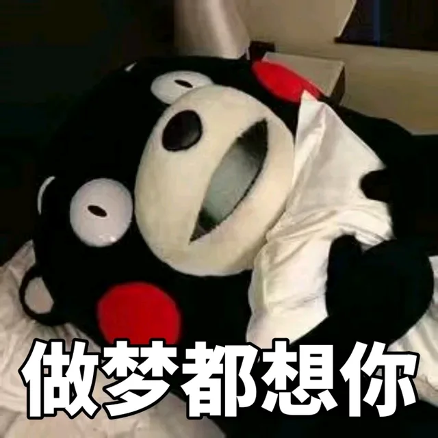 做梦都想你