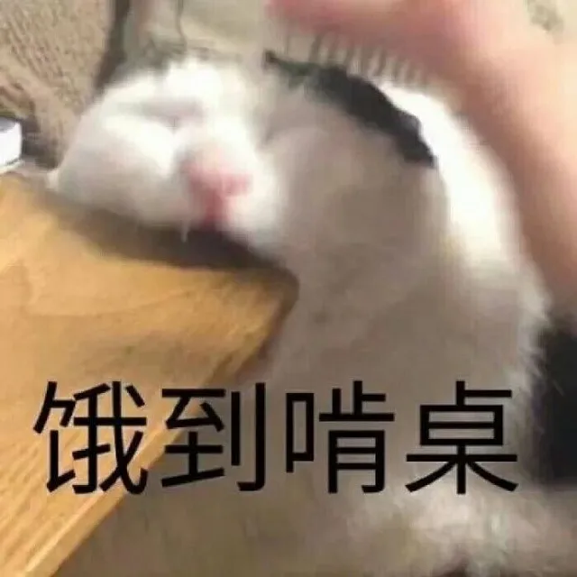 饿到啃桌（饿到啃桌）