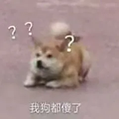 ??我狗都傻了（??我狗都傻了）