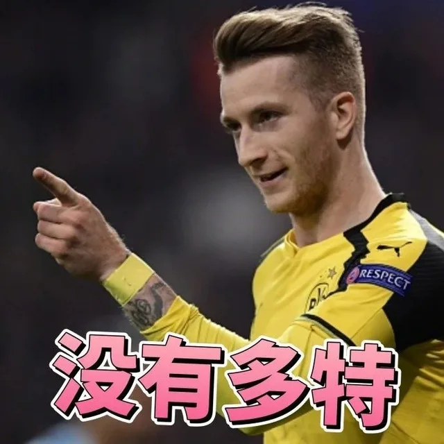 伪球迷世界杯指南之德甲版 _世界杯表情包