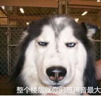 整个楼层就你们班声音最大