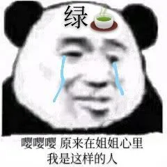 绿嘤嘤嘤原来在姐姐心里我是这样的人(绿茶熊猫头表情包 )