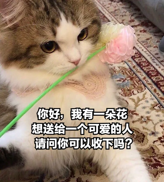 你好我有一朵花想送给一个可爱的人请问你可以收下吗?