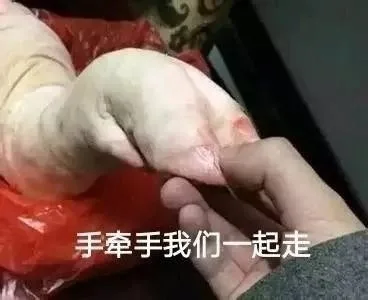 手牵手我们一起走