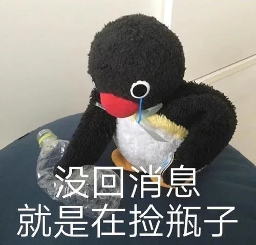 没回消息就是在捡瓶子（没回消息就是在捡瓶子）