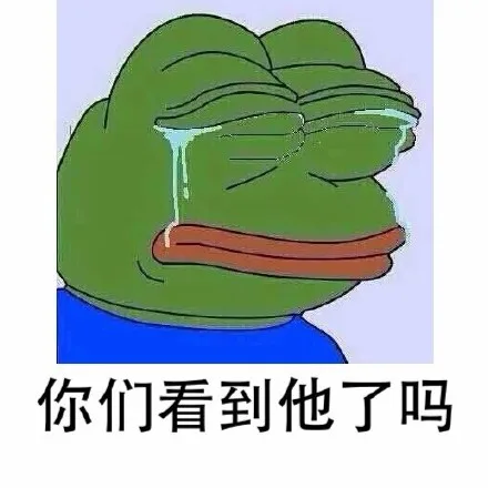 你们看到他了吗