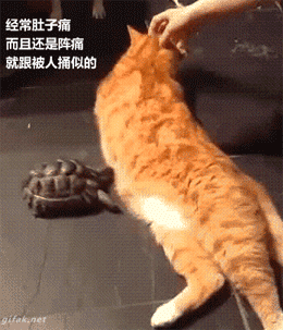 经常肚子痛，而且还是阵痛，就跟被人捅似的